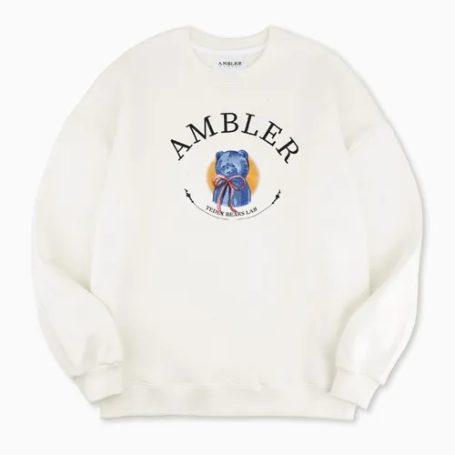 AMBLER | Long Sleeves Logo Hoodies & Sweatshirts for Street Style