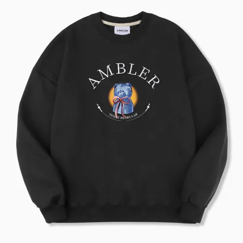 AMBLER | Long Sleeves Logo Hoodies & Sweatshirts for Street Style