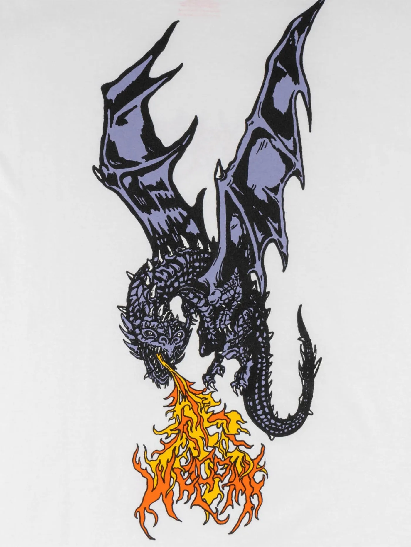 Fire-breathing Dragon T-Shirt