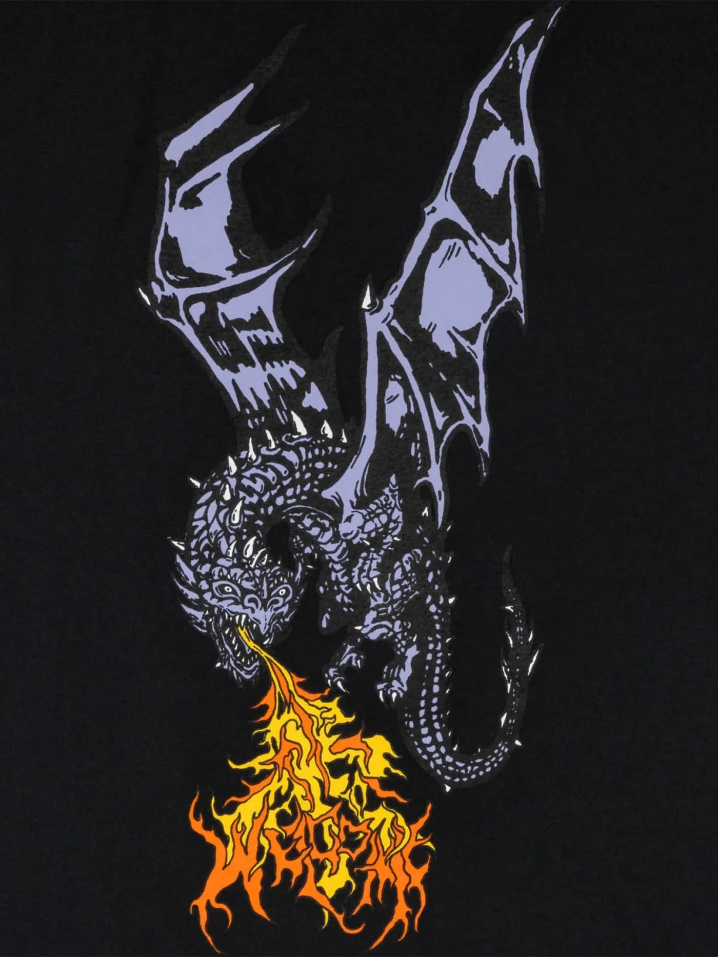 Fire-breathing Dragon T-Shirt