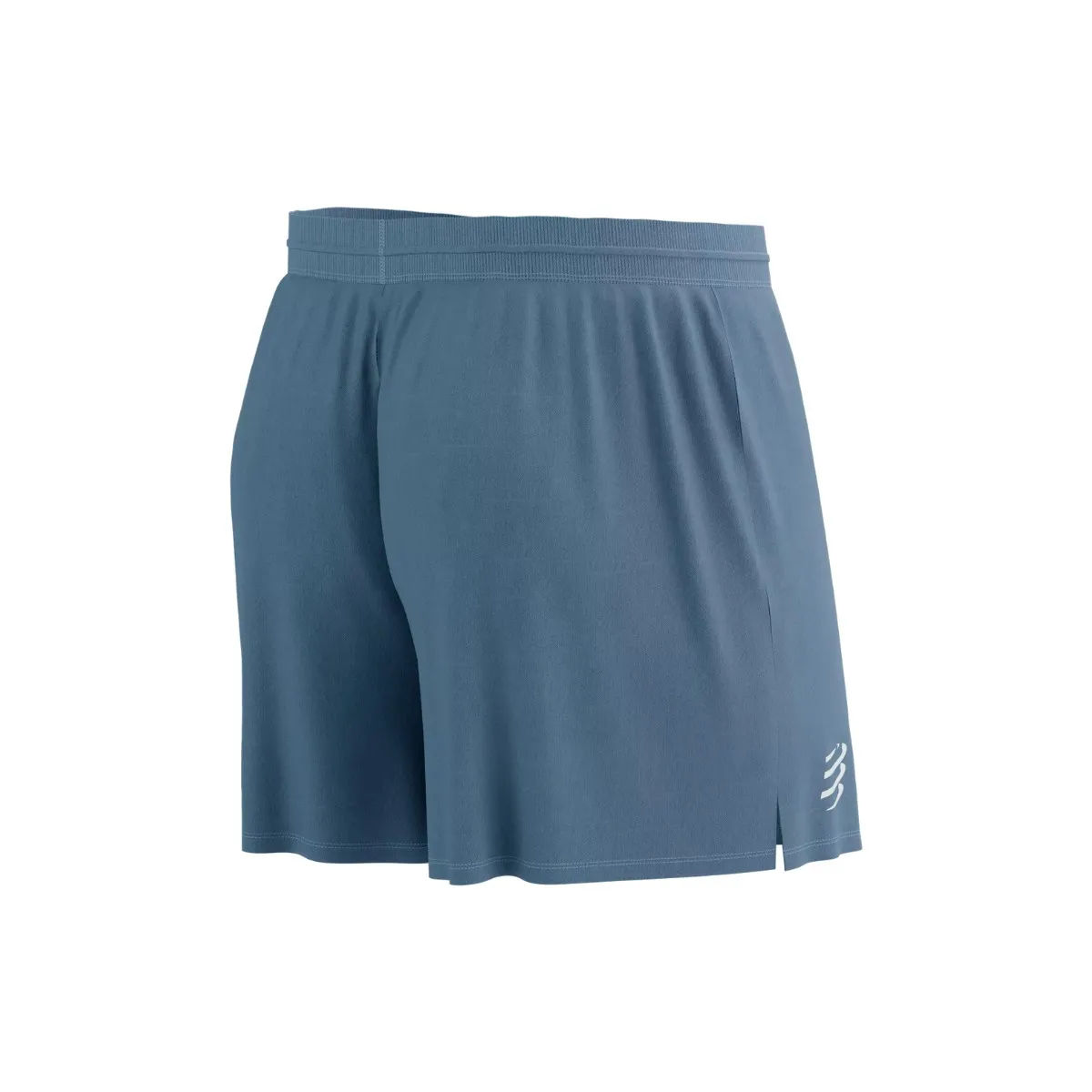 Performance Blue Shorts Compressport